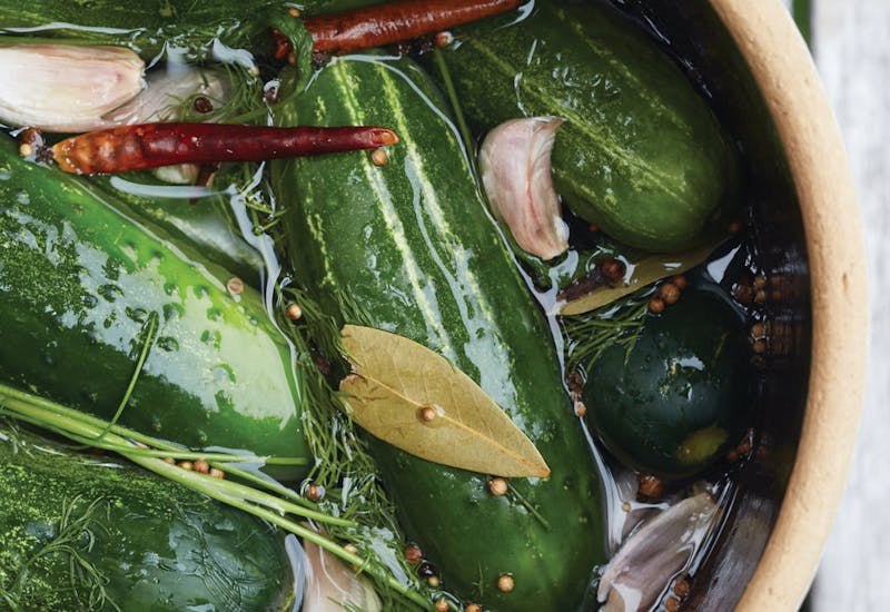 Classic Sour Dill Pickles