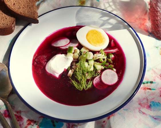 Cold Borscht — Jewish Food Society