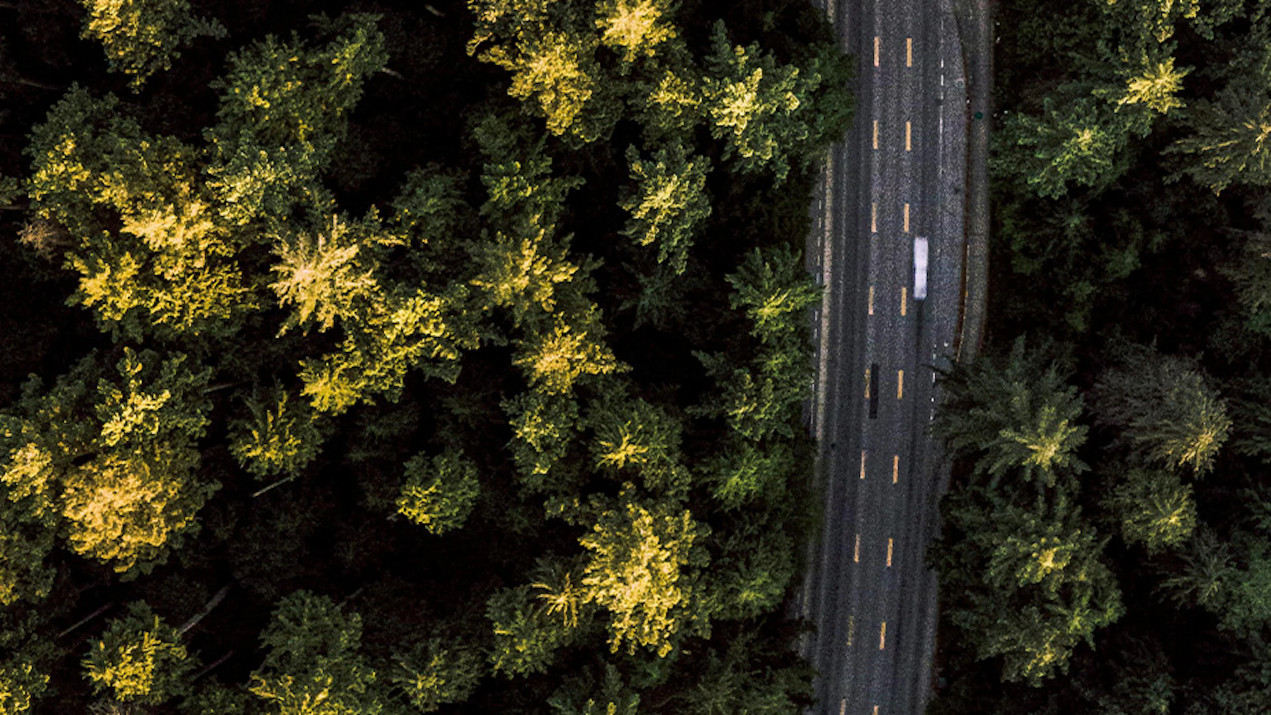 overhead view of forest and road with transport truck passing