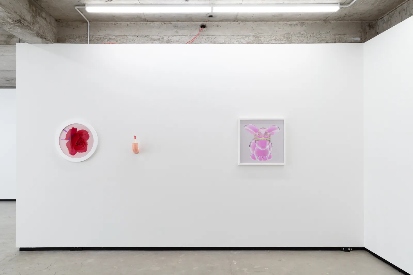 Caitlin Devoy and Hye Rim Lee Jhana Millers Gallery