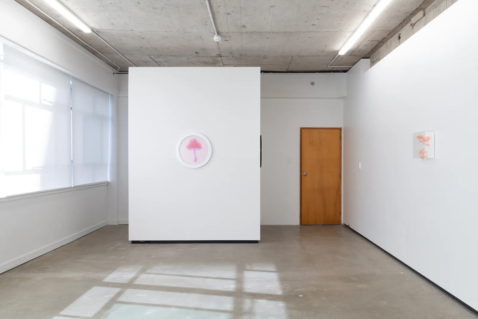 Caitlin Devoy and Hye Rim Lee Jhana Millers Gallery