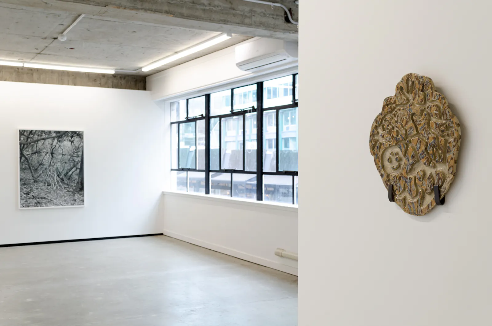 Screaming Waterfalls, Jhana Millers Gallery
