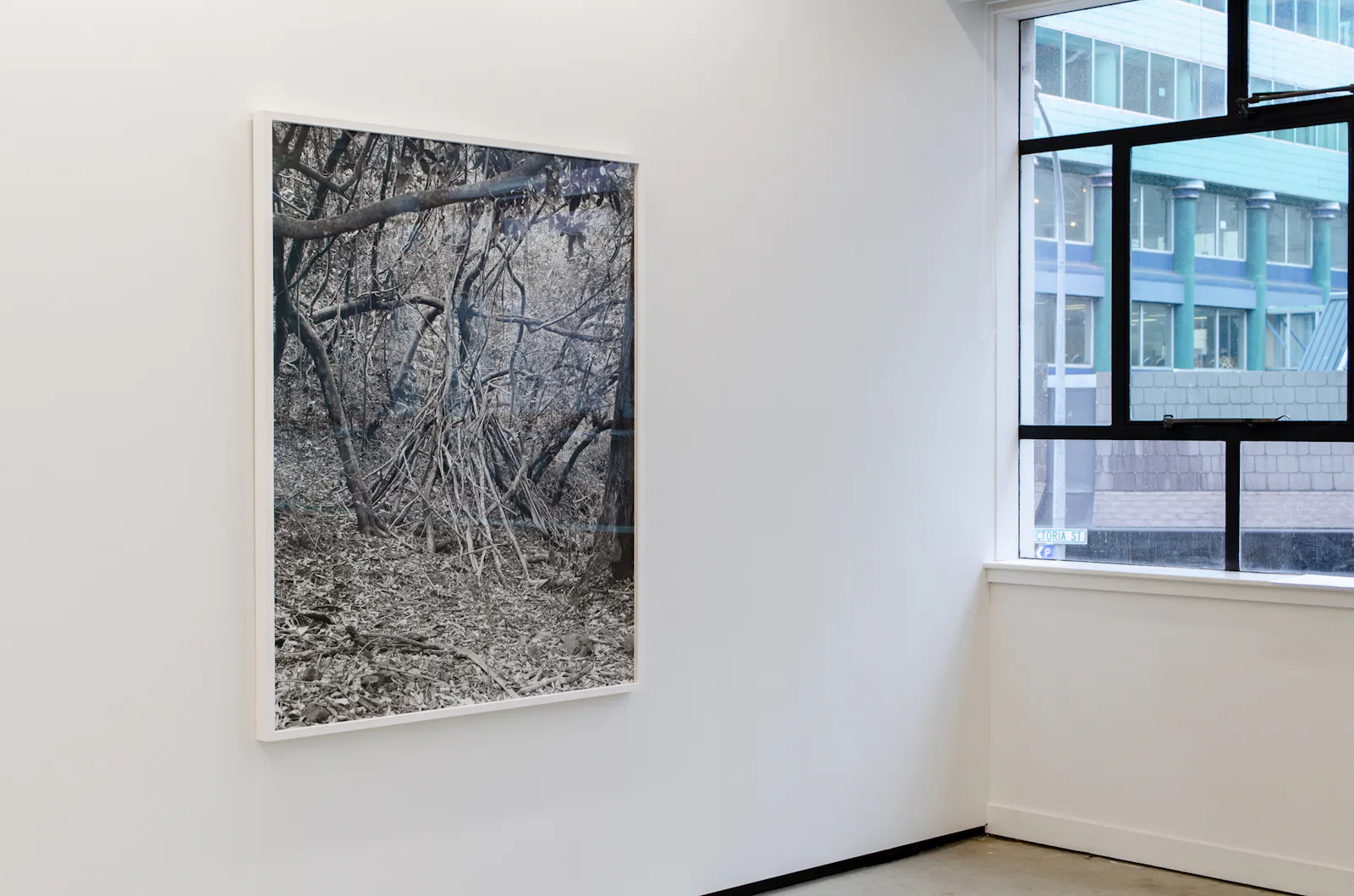 Screaming Waterfalls, Jhana Millers Gallery