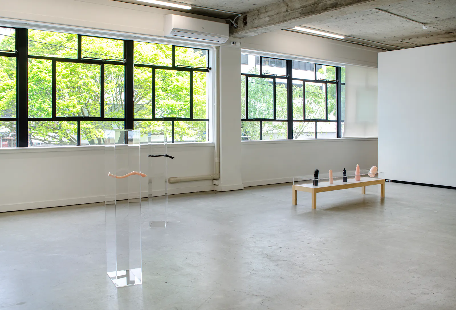 Caitlin Devoy Jhana Millers Gallery