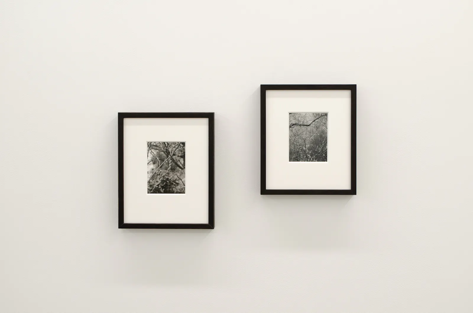 Screaming Waterfalls, Jhana Millers Gallery