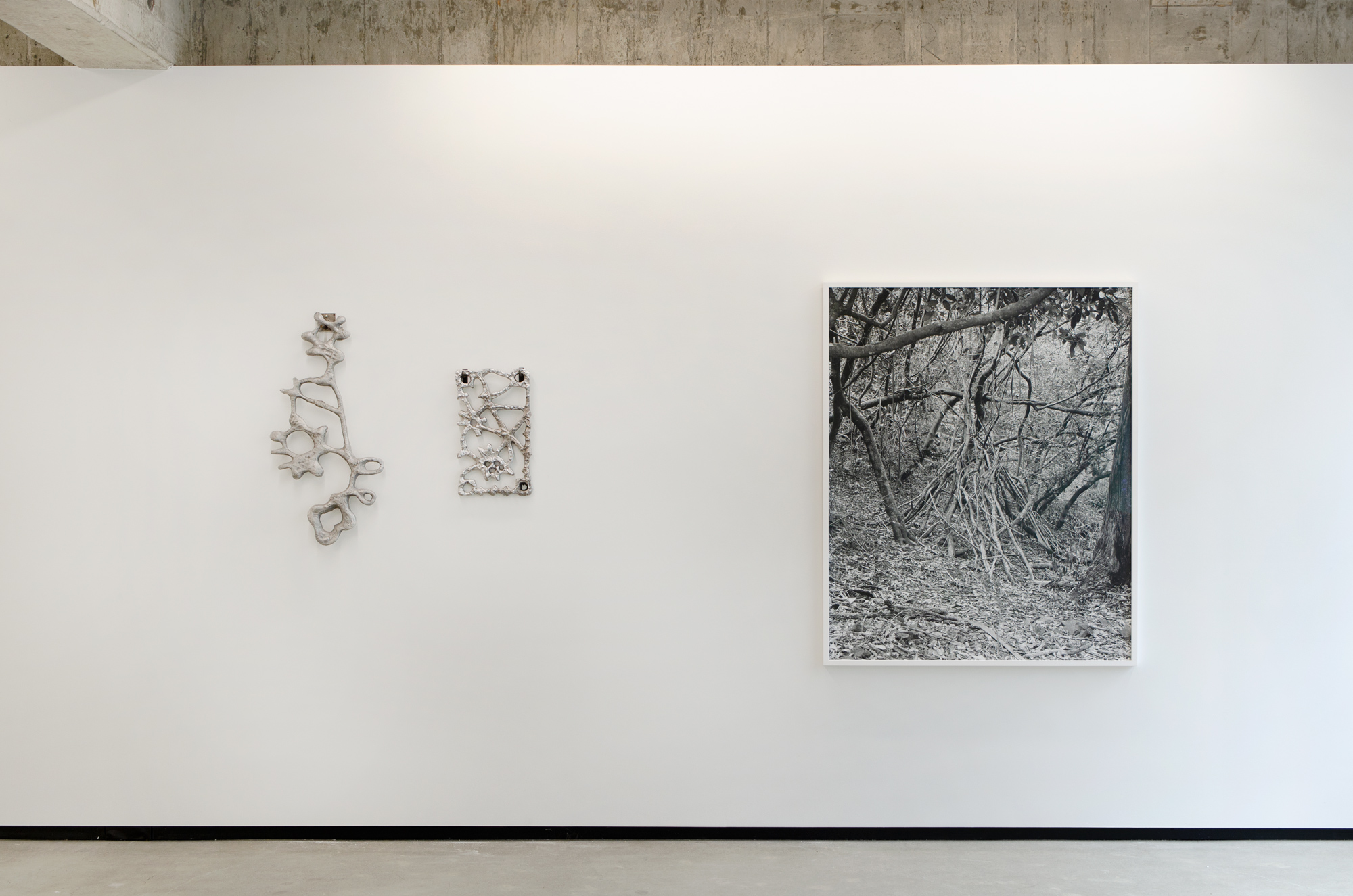Screaming Waterfalls, Jhana Millers Gallery
