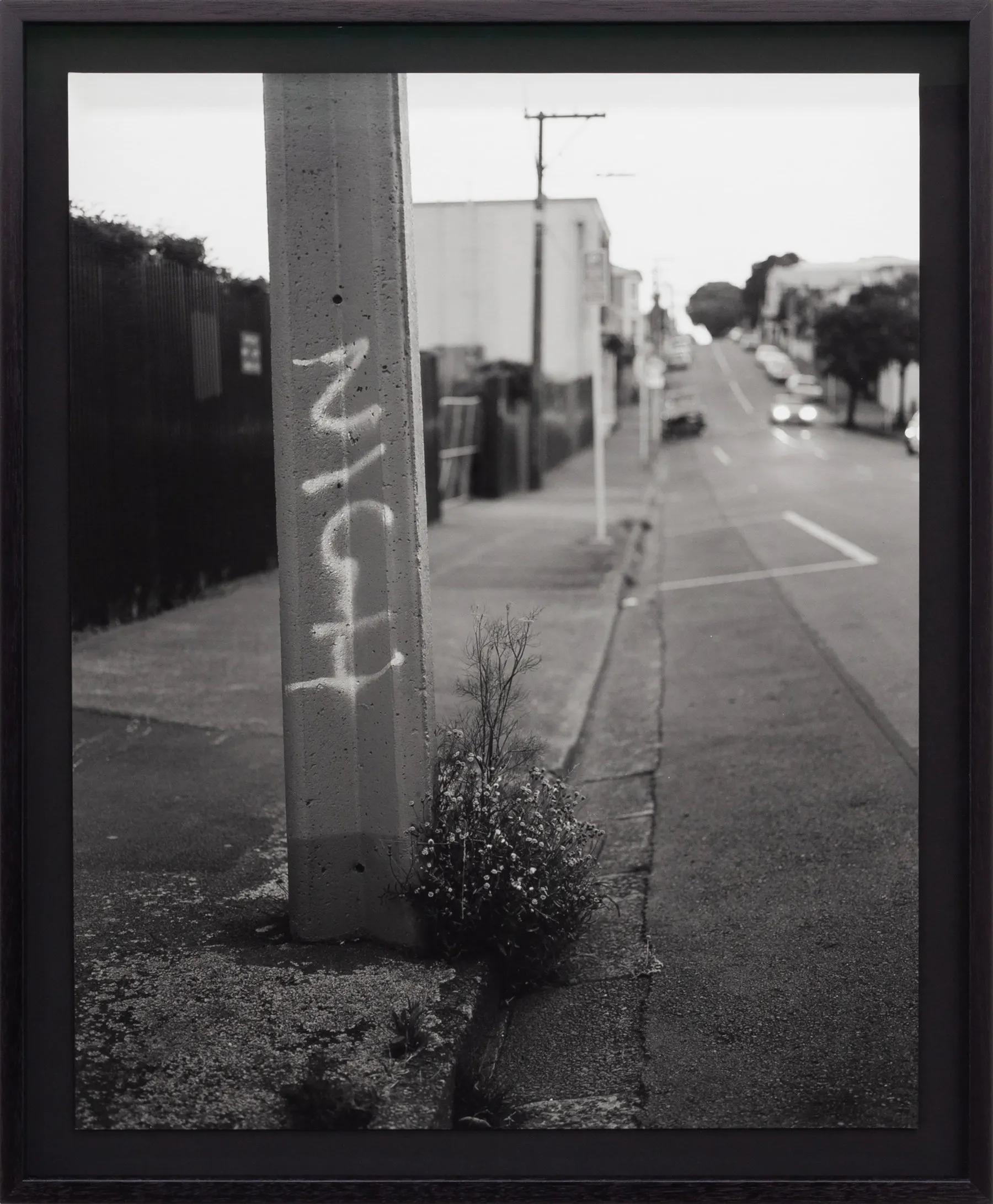Untitled (Nigh) by Harry Culy