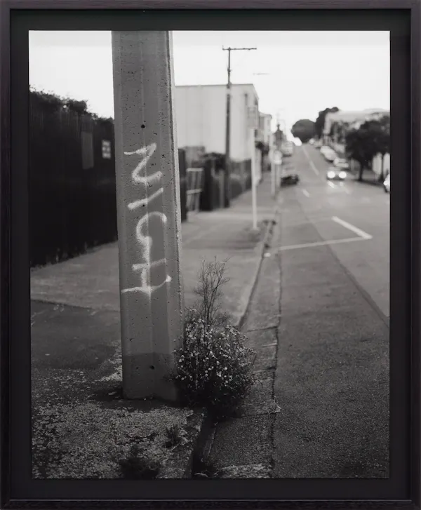Untitled (Nigh) by Harry Culy