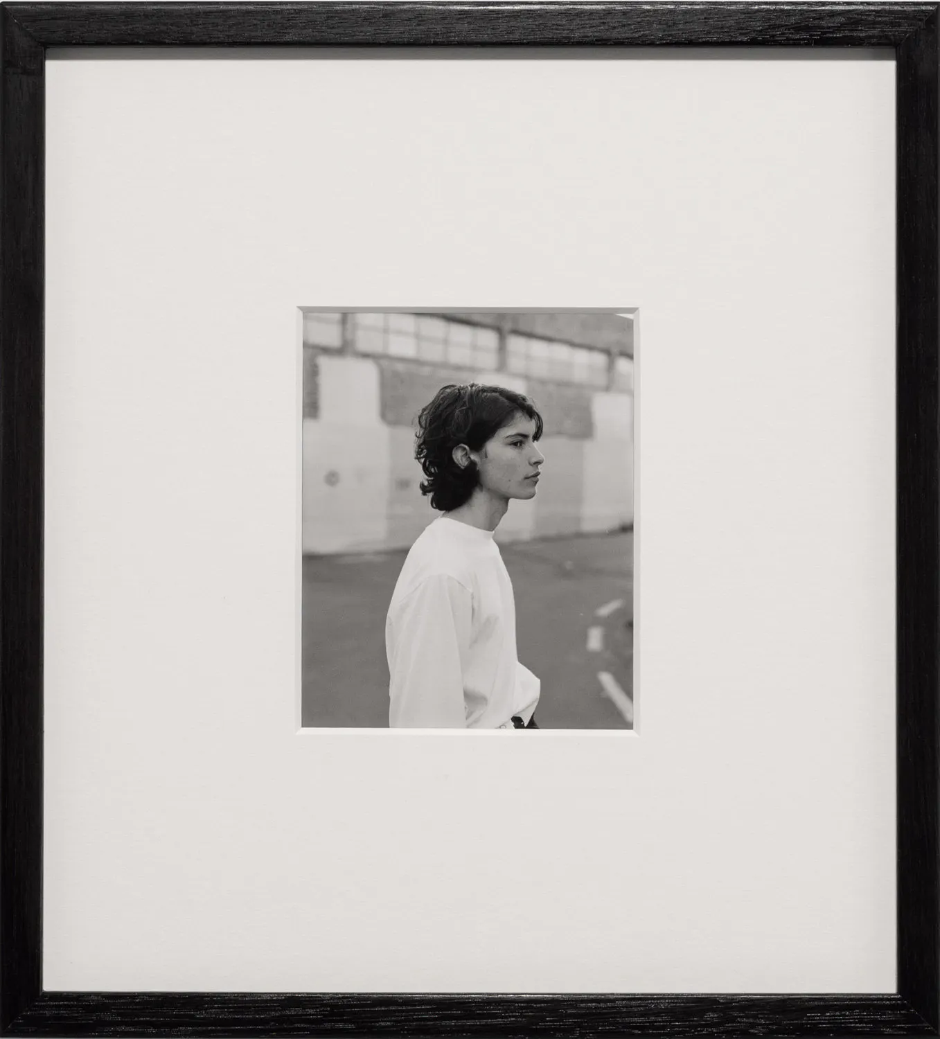Untitled (Amadeo), Wellington, New Zealand by Harry Culy