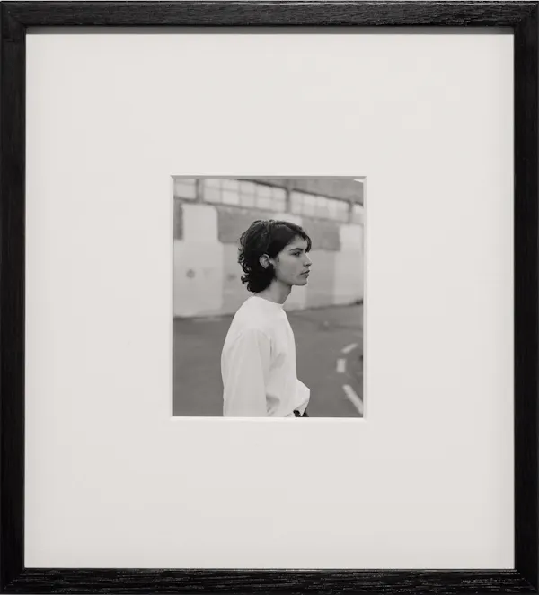 Untitled (Amadeo), Wellington, New Zealand by Harry Culy