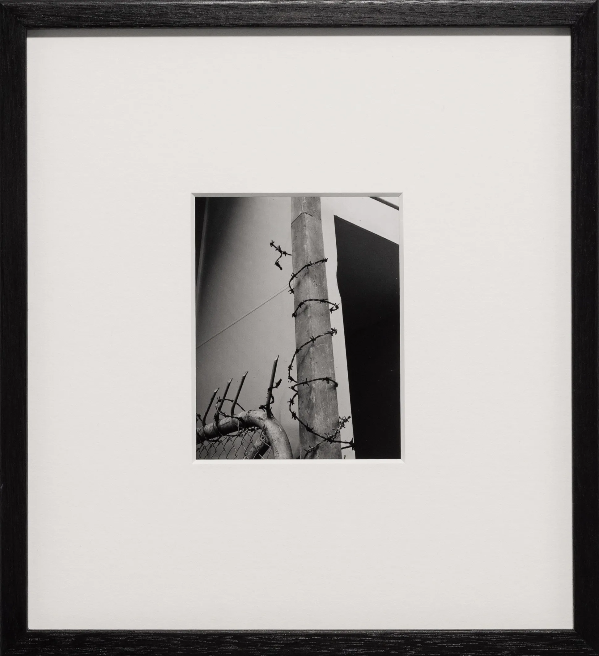 Untitled (barbed wire), Wellington, New Zealand by Harry Culy