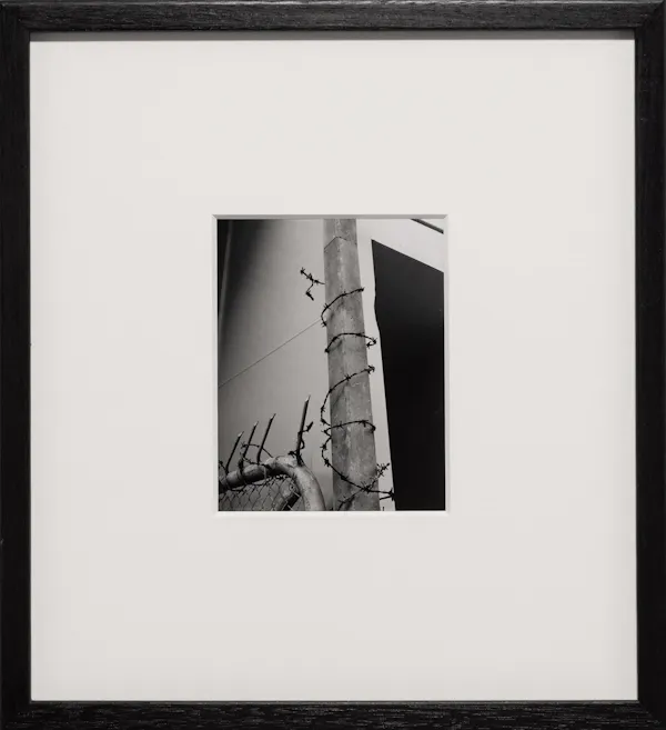 Untitled (barbed wire), Wellington, New Zealand by Harry Culy
