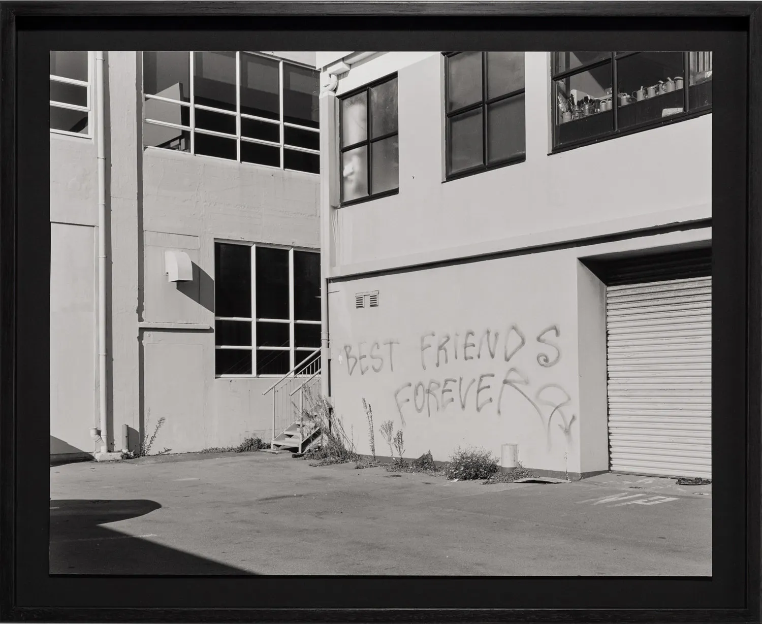 Untitled (best friends forever), Wellington, New Zealand by Harry Culy