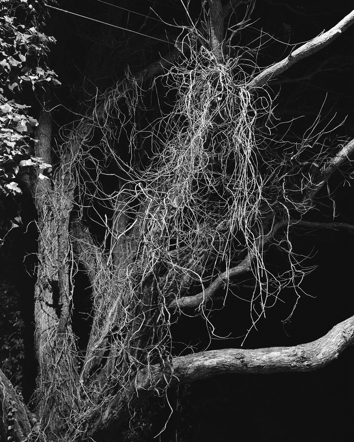 Untitled (Crawford Road) by Harry Culy