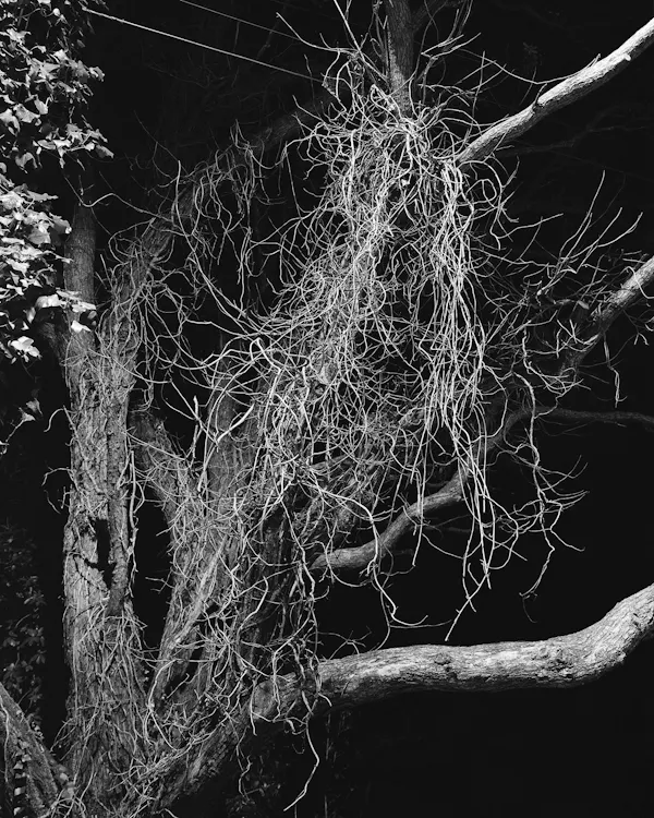 Untitled (Crawford Road) by Harry Culy