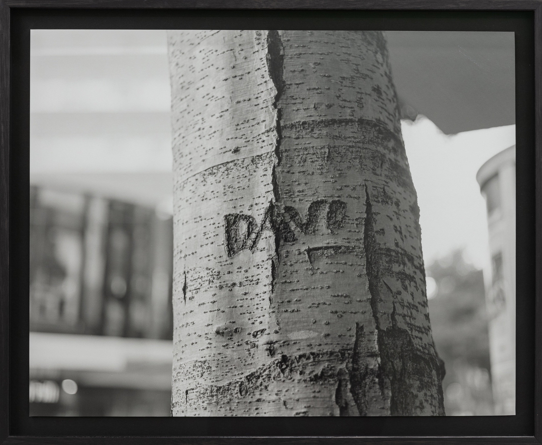 Untitled (Davo), Wellington, New Zealand by Harry Culy
