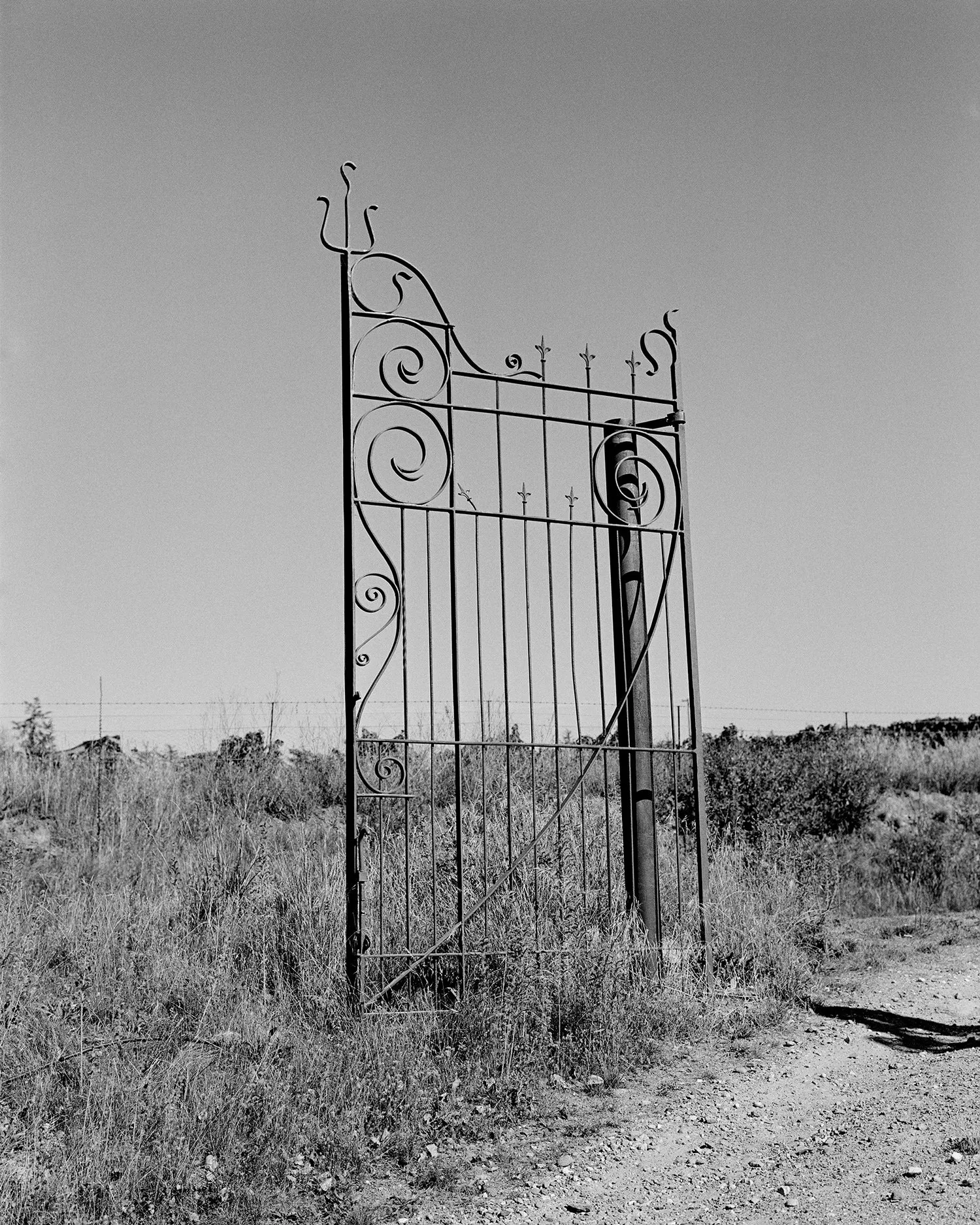 Untitled (Gate) by Harry Culy