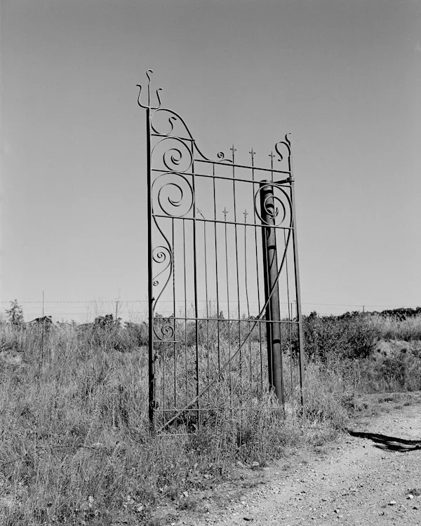 Untitled (Gate) by Harry Culy