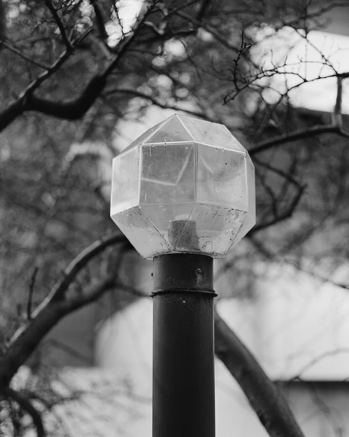 Untitled (Lamp), Wellington, New Zealand by Harry Culy