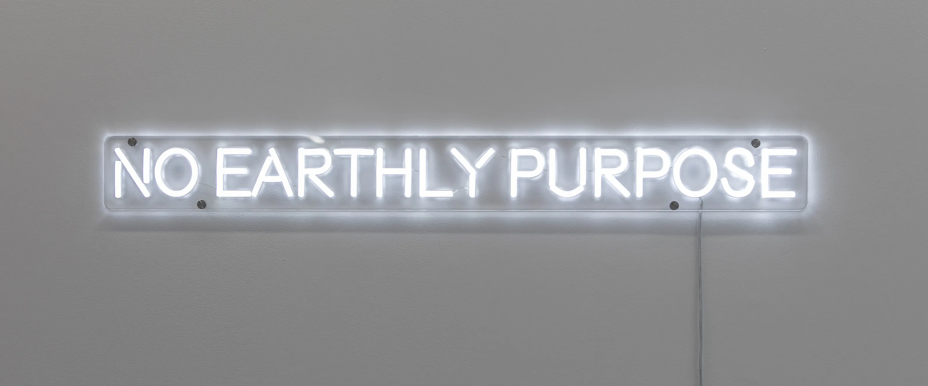 NO EARTHLY PURPOSE by Elisabeth Pointon