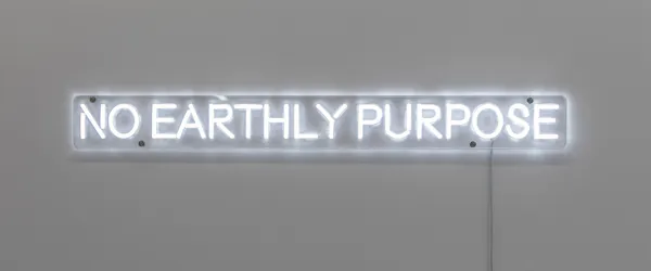 NO EARTHLY PURPOSE by Elisabeth Pointon