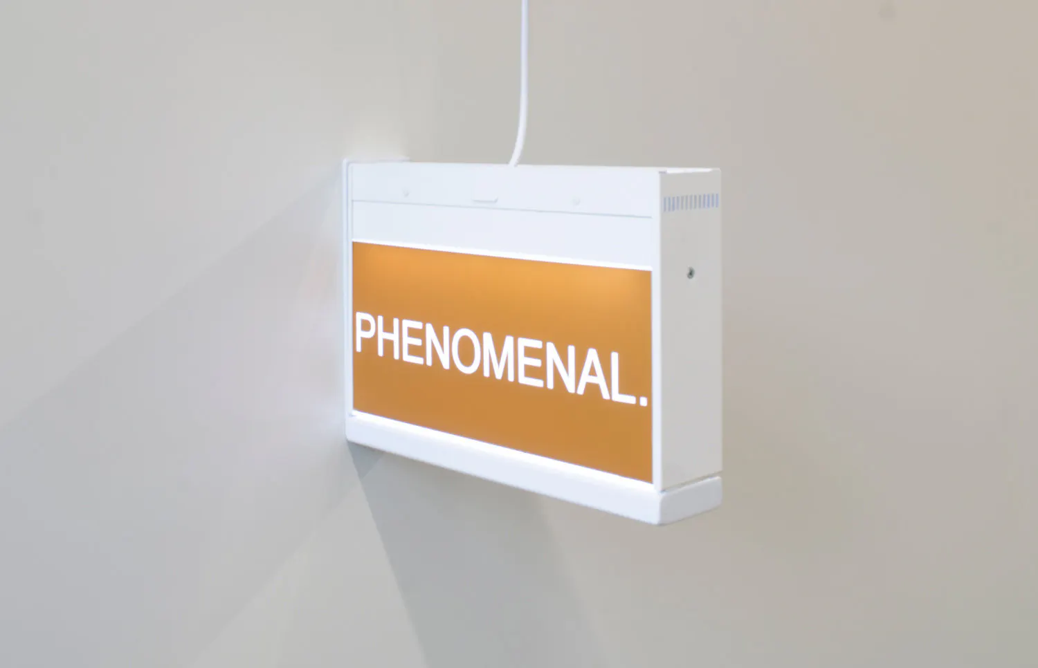 PHENOMENAL. by Elisabeth Pointon