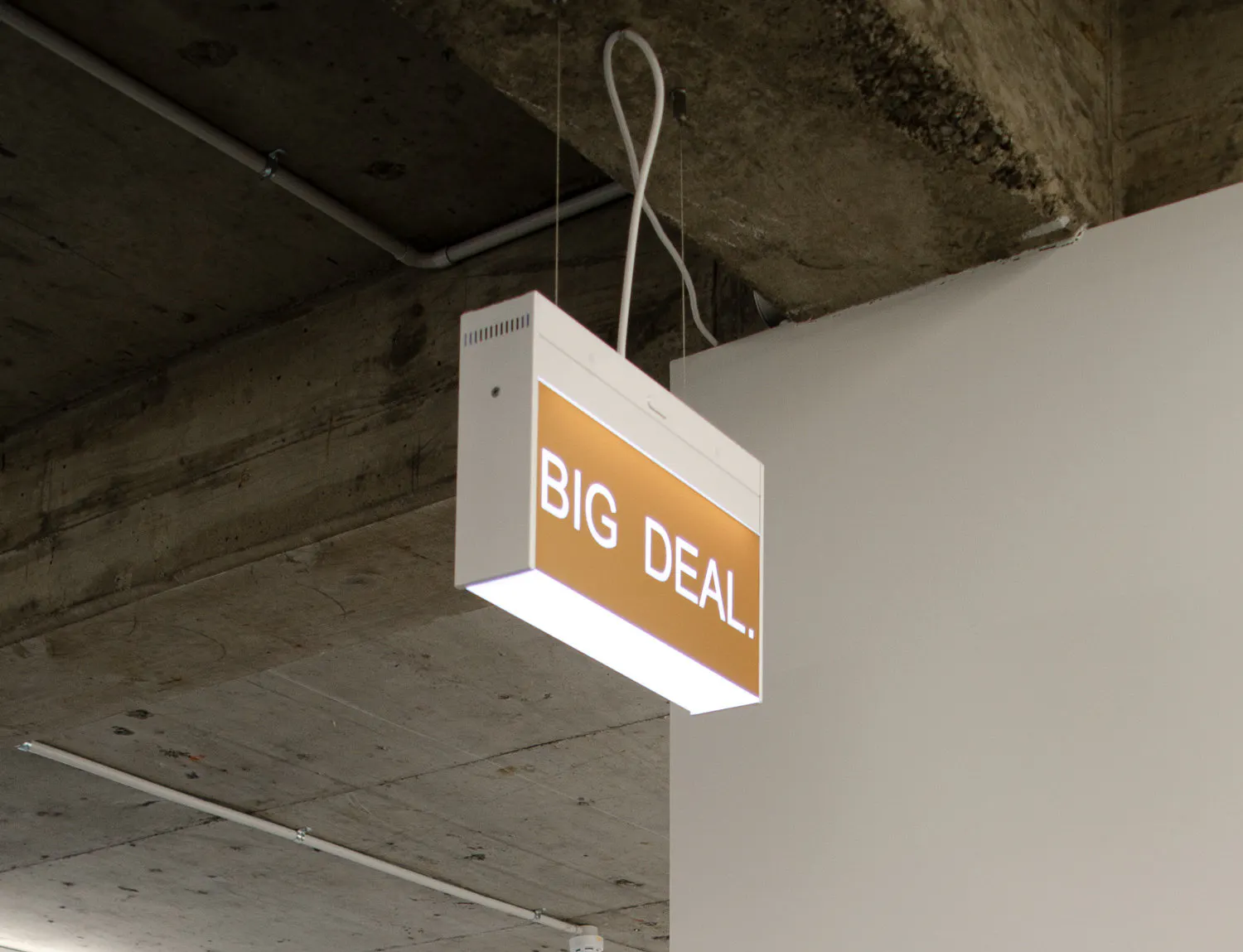 BIG DEAL. by Elisabeth Pointon