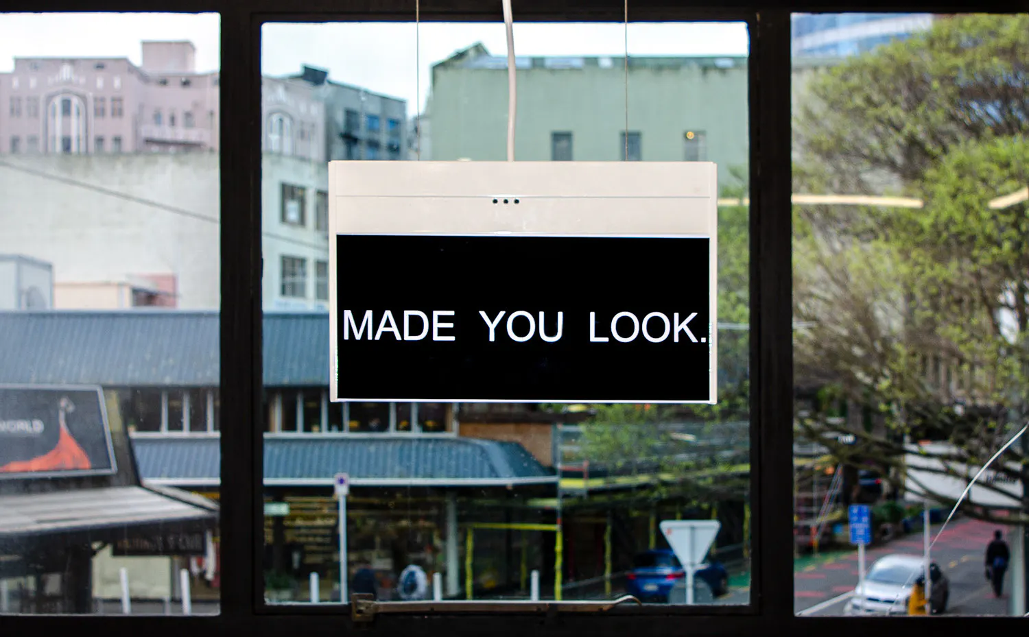 MADE YOU LOOK. by Elisabeth Pointon