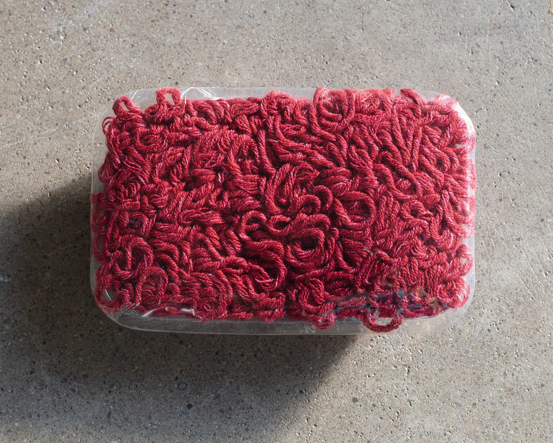Mince by Erica van Zon