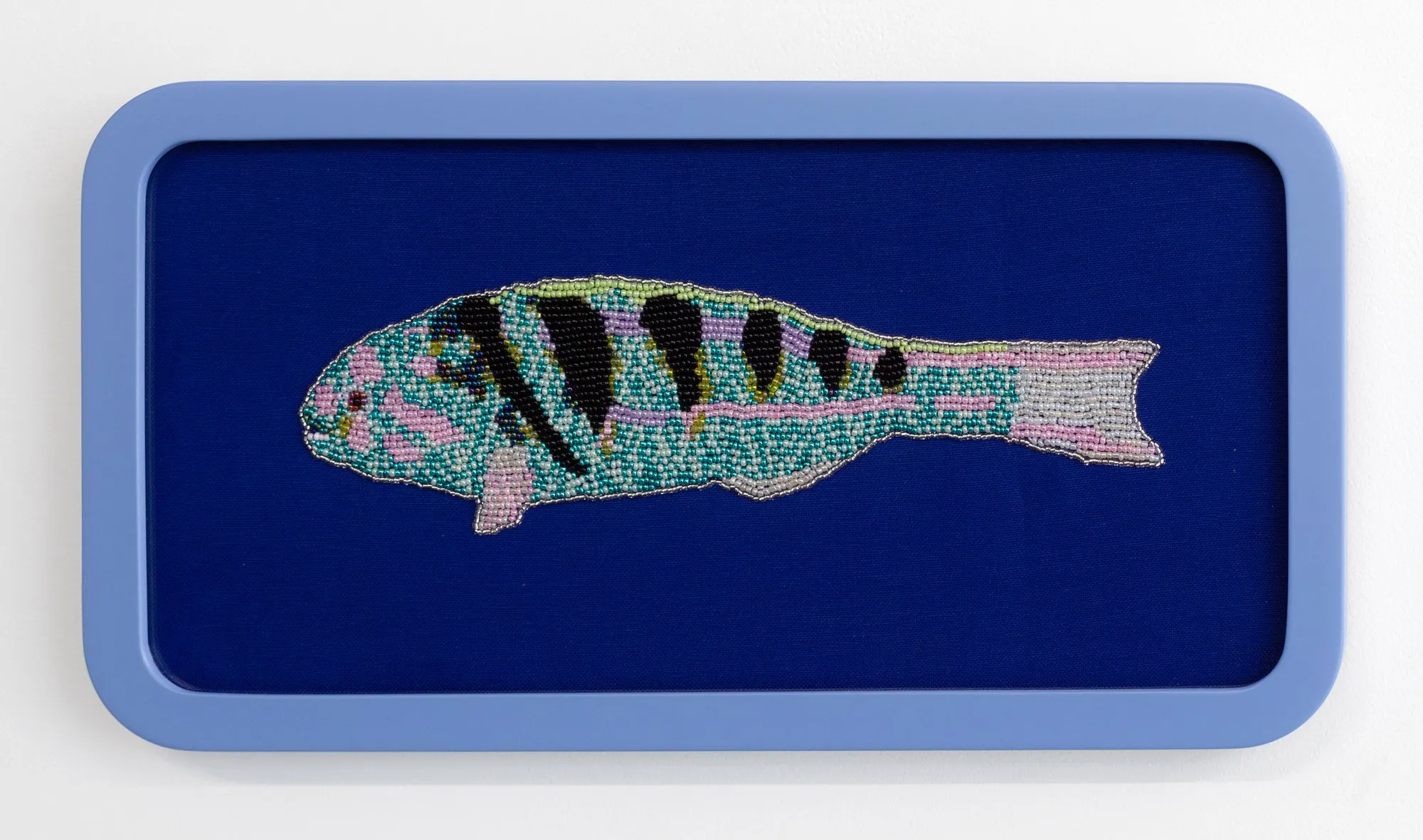 Sixbar Wrasse, the most beautiful fish on the reef by Erica van Zon