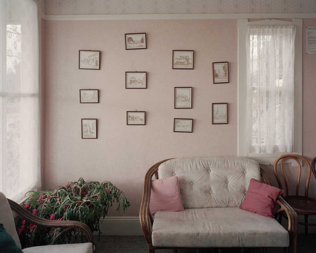 Tearooms, Onga Onga by Harry Culy