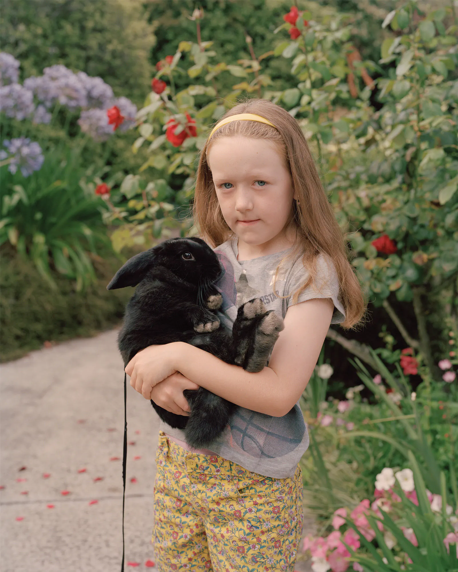 Girl with rabbit, Havelock North by Harry Culy