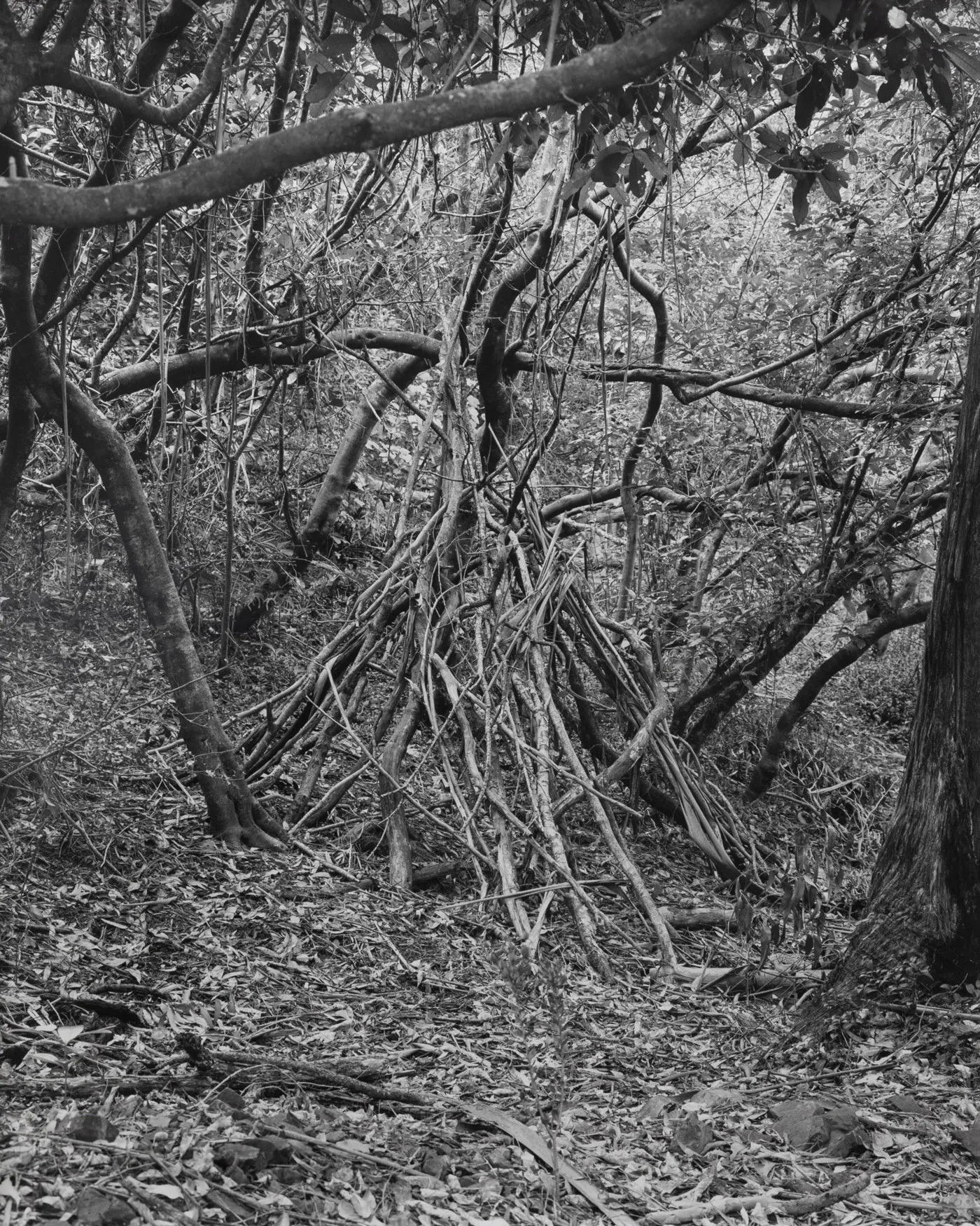 Untitled (Shelter), Wellington by Harry Culy
