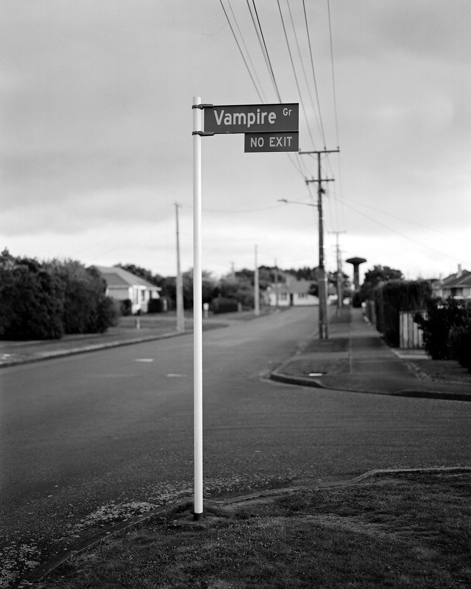 Untitled (Vampire Grove) by Harry Culy
