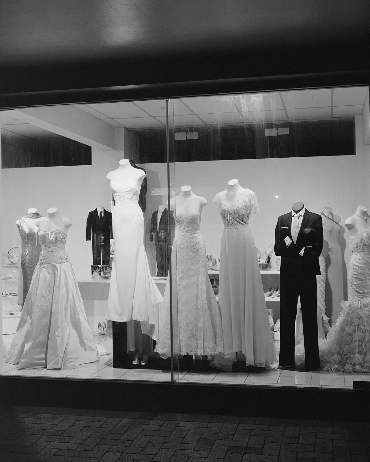 Untitled (Window display), Wellington, New Zealand by Harry Culy