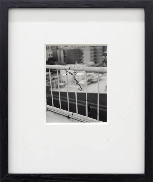 Untitled (Wire) by Harry Culy