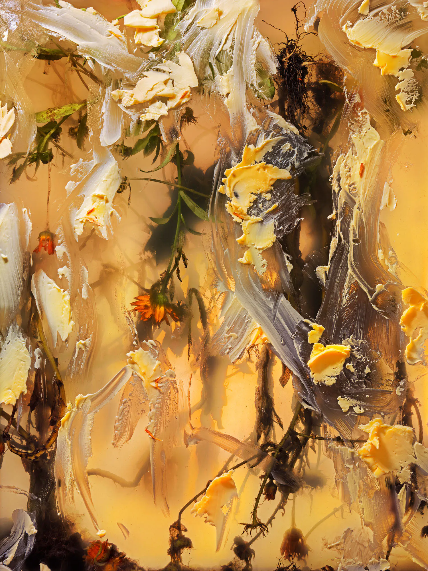 All the hours of the day (calendula, marigold, pot marigold, marsh marigold, marygold, mary and gold, mary-budde, fleur-de-marie, oculus christi, fiore d’ogni mese, golde, golds, ruddes, solis sponsa, solsequia, poor man’s saffron) by Ann Shelton