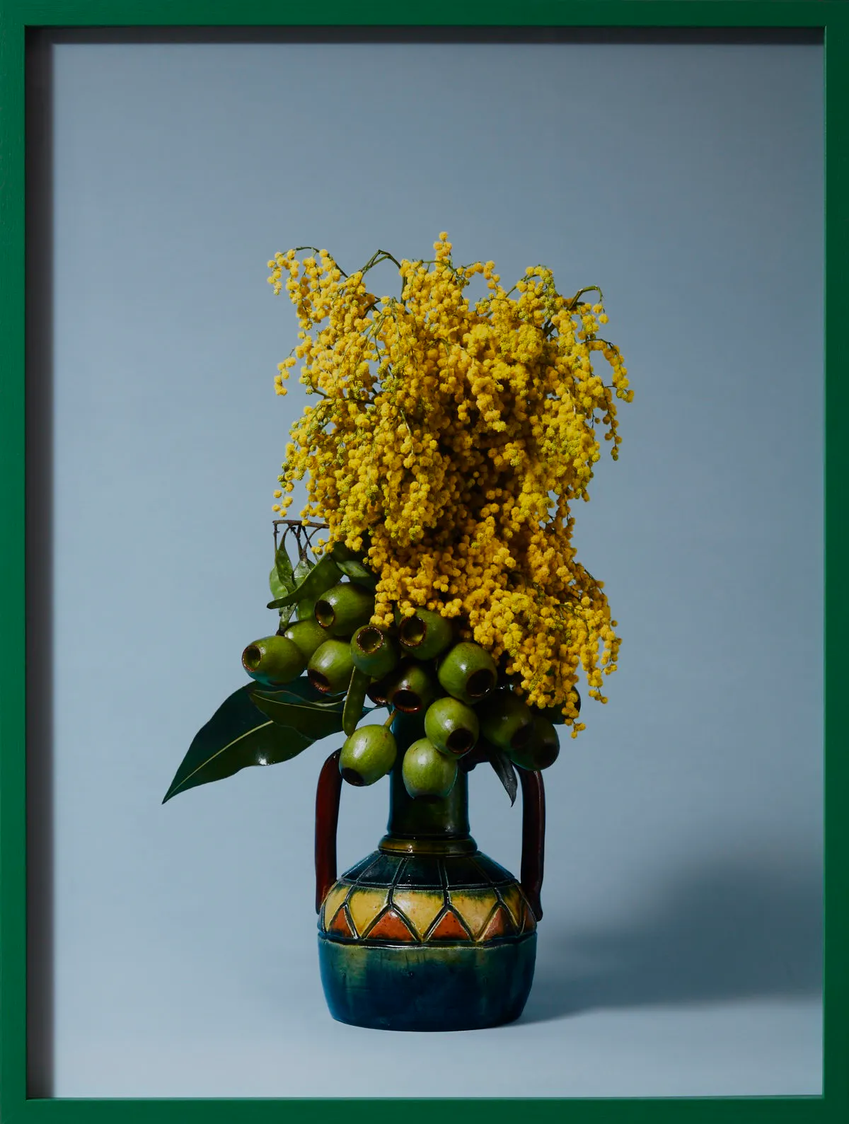 The Banshee, Golden Wattle (Acacia pycnantha sp.) by Ann Shelton