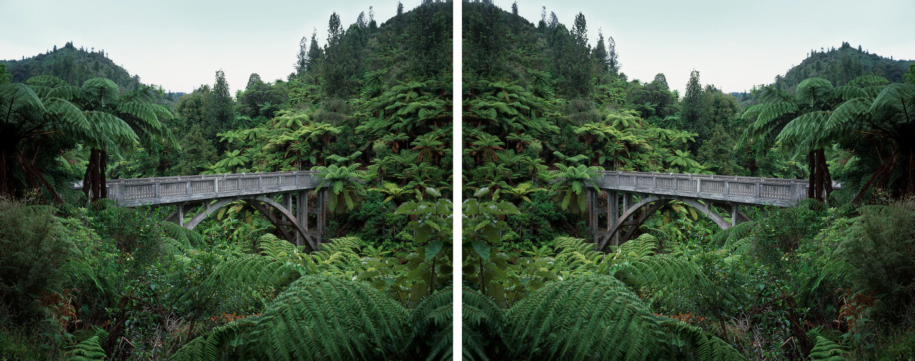 Landschaft, The Bridge to Nowhere, Mangapurua Valley, Wanganui, by Ann Shelton