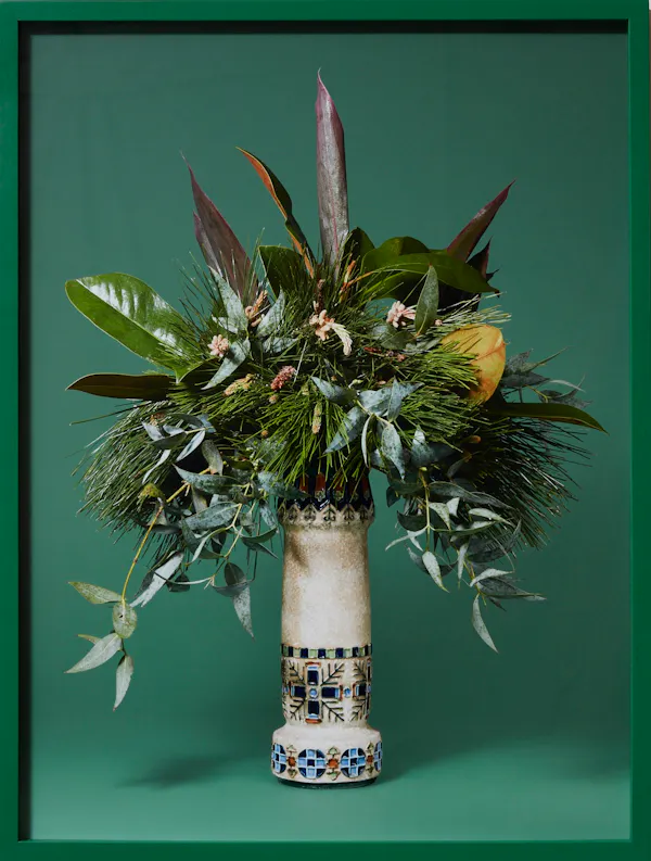 The Dowager, Pine (Pinus radiata sp.) by Ann Shelton