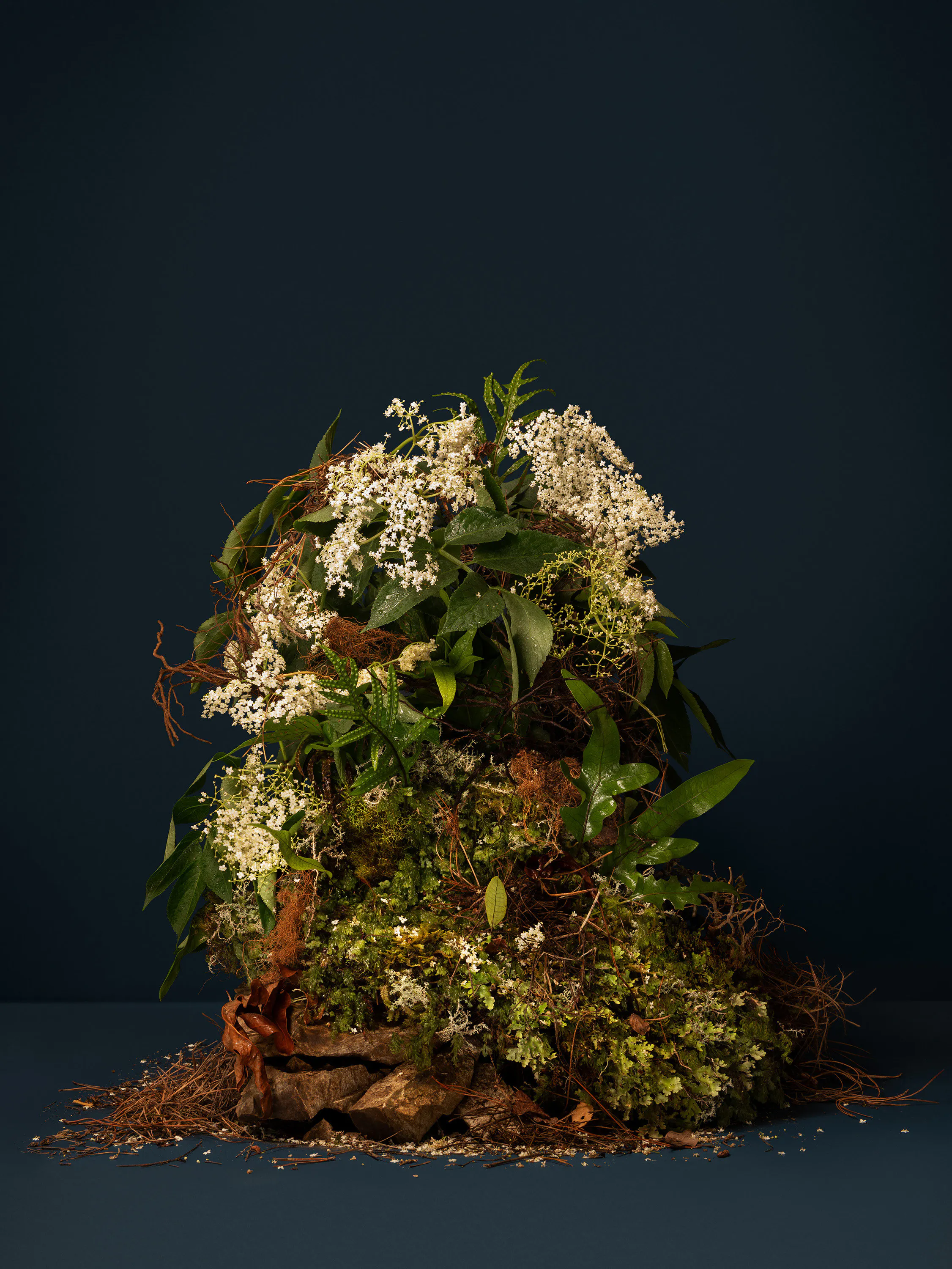Once upon a time forest floor (Elder, Black Elder, Boor Tree, Elderberry, Elder Bush, Pipe Tree, European Elderberry, Bour Tree, Hylder, Hylantree, Eldrum, Hollunder, Su- reau, Hildemoer, Lady Ellhorn, Sweet Elder) by Ann Shelton