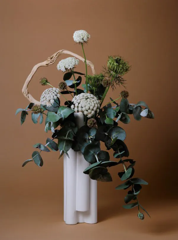The Handmaid, Queen Anne’s Lace (Daucus sp.) by Ann Shelton