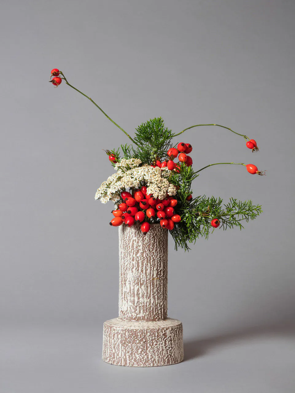 The Ingénue, Yarrow (Achillea sp.) by Ann Shelton