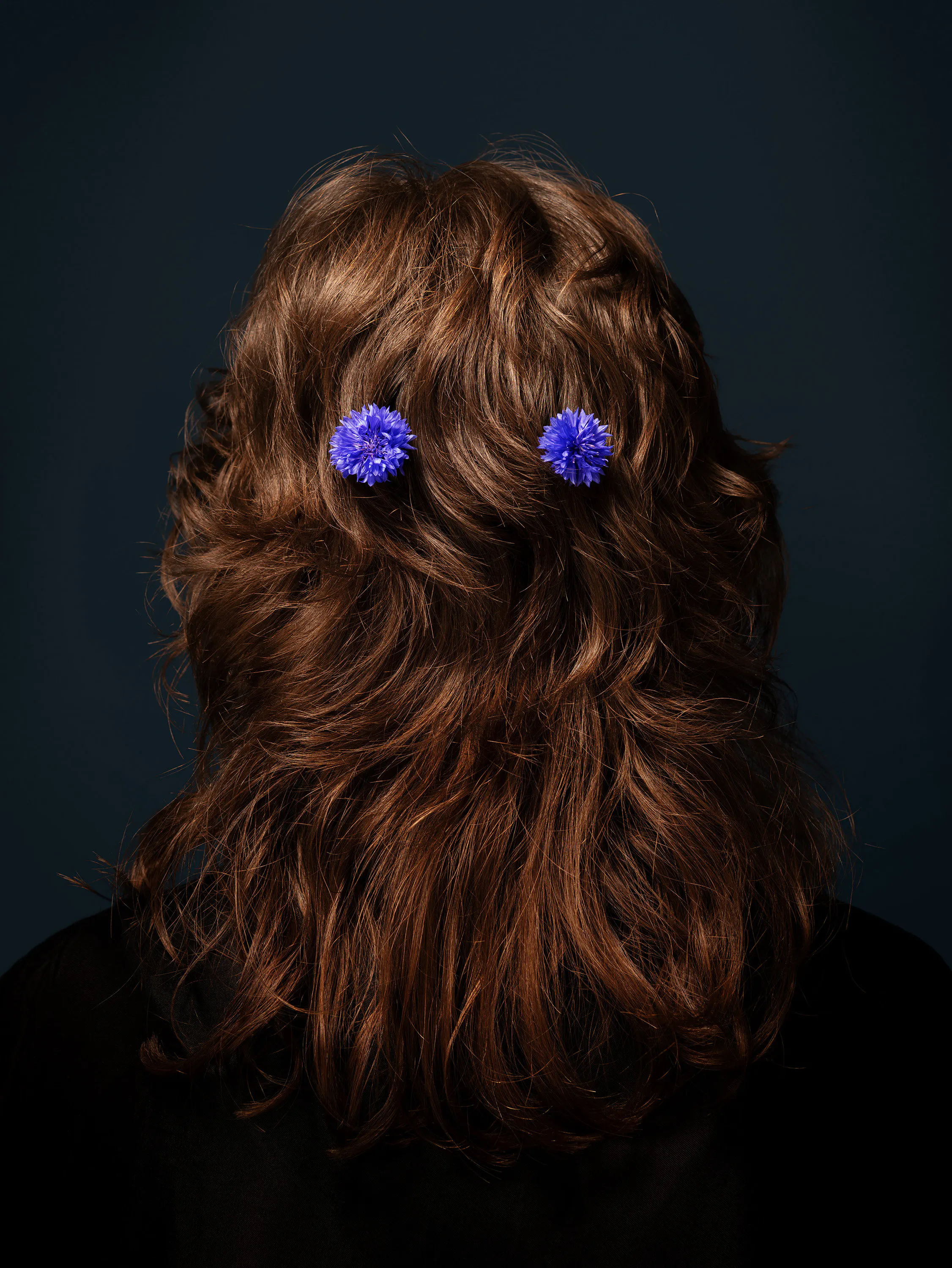 The loss of the oracle (Cornflower, Bluebot- tle, Hurtsickle, Bachelor’s Buttons, Blue- bow, Blue Cap) by Ann Shelton