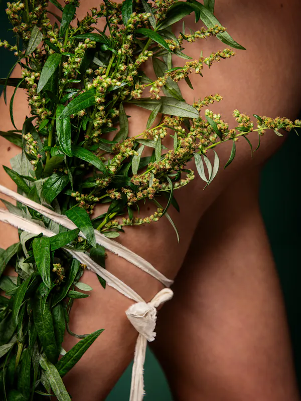 The oldest wort (mugwort, felon herb, Una, Artemisia, St. John’s plant, cingulum sancti Johannis, chornobylnik, beifuß, besenkraut, fliegenkraut, gänsekraut, Johannesgürtelkraut, jungfernkrau t, sonnenwendkraut, weiberkraut, werzwisch, wilder wermut, wisch) by Ann Shelton