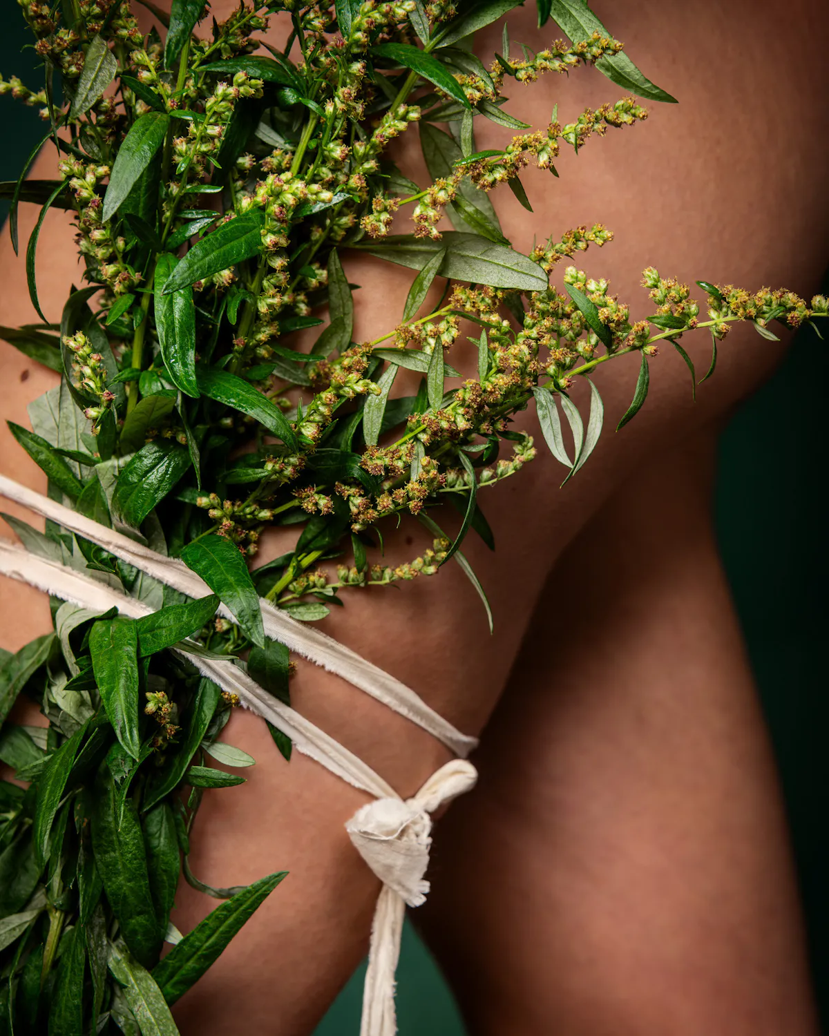 The oldest wort (mugwort, felon herb, Una, Artemisia, St. John’s plant, cingulum sancti Johannis, chornobylnik, beifuß, besenkraut, fliegenkraut, gänsekraut, Johannesgürtelkraut, jungfernkrau t, sonnenwendkraut, weiberkraut, werzwisch, wilder wermut, wisch) by Ann Shelton