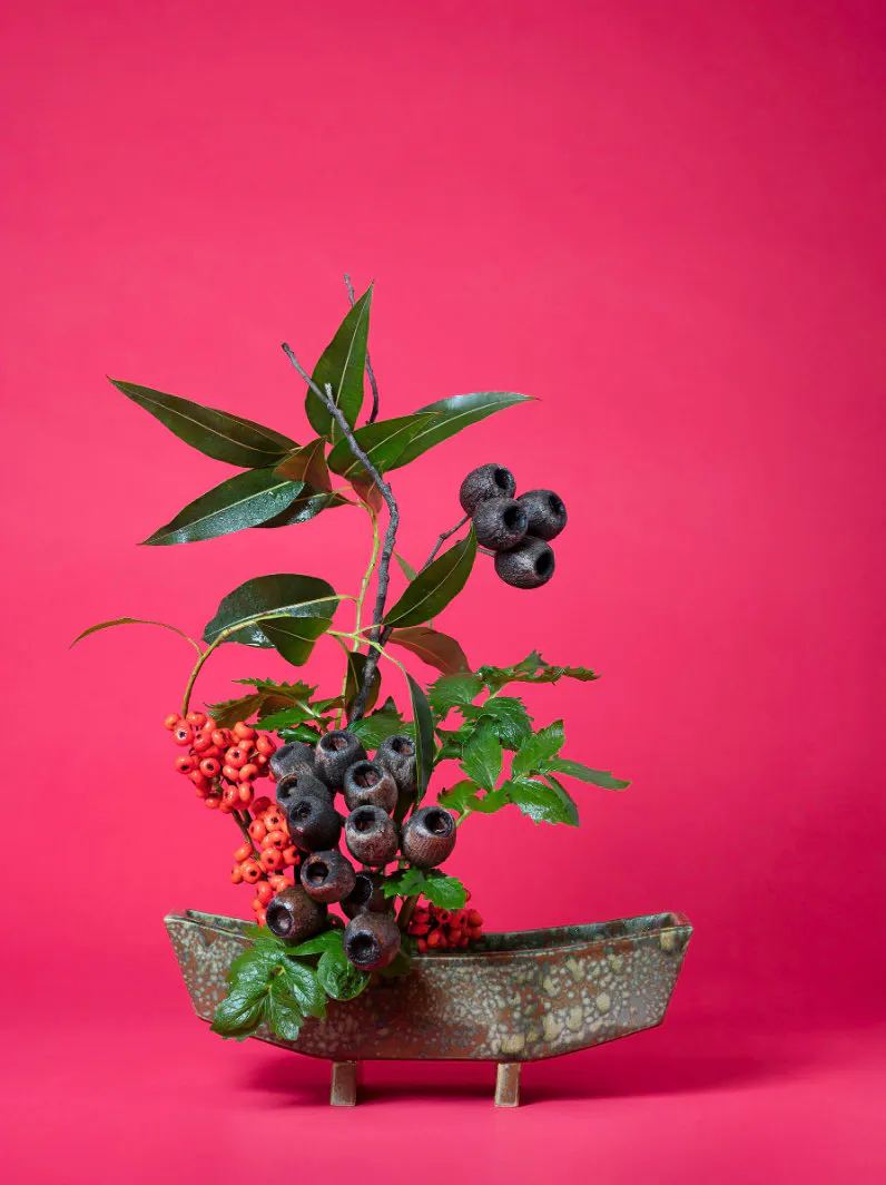 The Scarlet Woman, Valerian (Valeriana sp.) by Ann Shelton