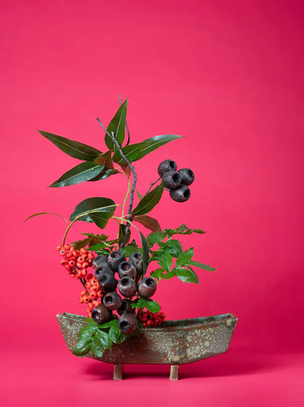 The Scarlet Woman, Valerian (Valeriana sp.) by Ann Shelton