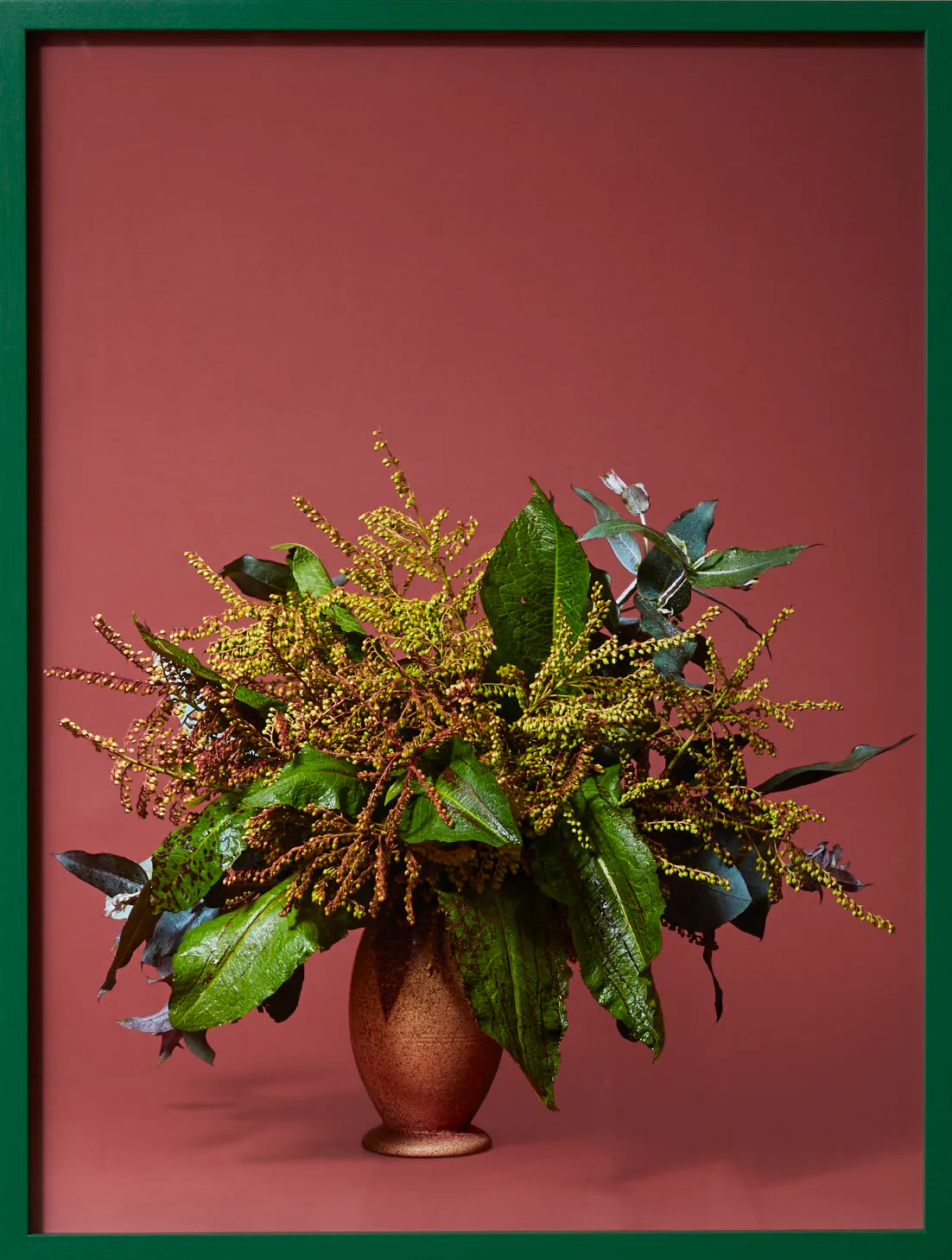 The Seamstress, Dock (Rumex obtusifolius</em> sp.) by Ann Shelton
