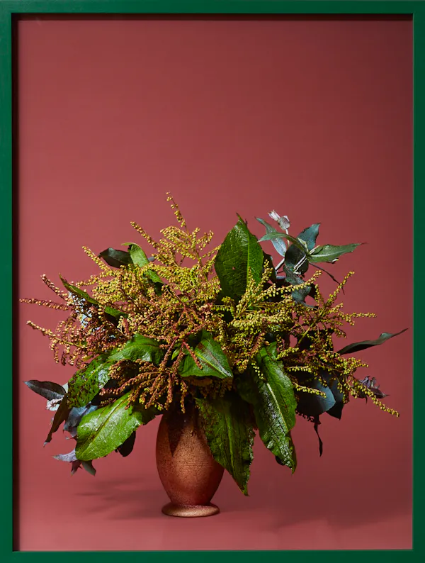 The Seamstress, Dock (Rumex obtusifolius</em> sp.) by Ann Shelton